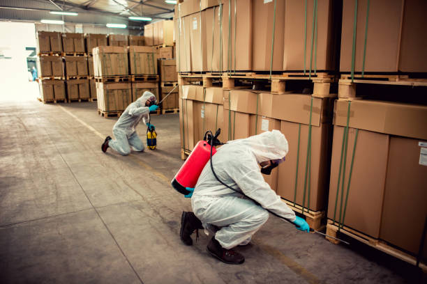 Wasp Removal Services in Chittenango, NY