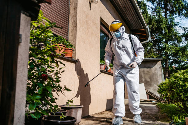 Best Best Pest Control Companies  in Chittenango, NY