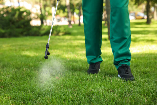 Best Flea Control Services  in Chittenango, NY