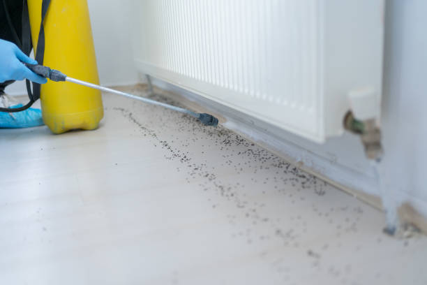 Best Commercial Pest Control Services  in Chittenango, NY
